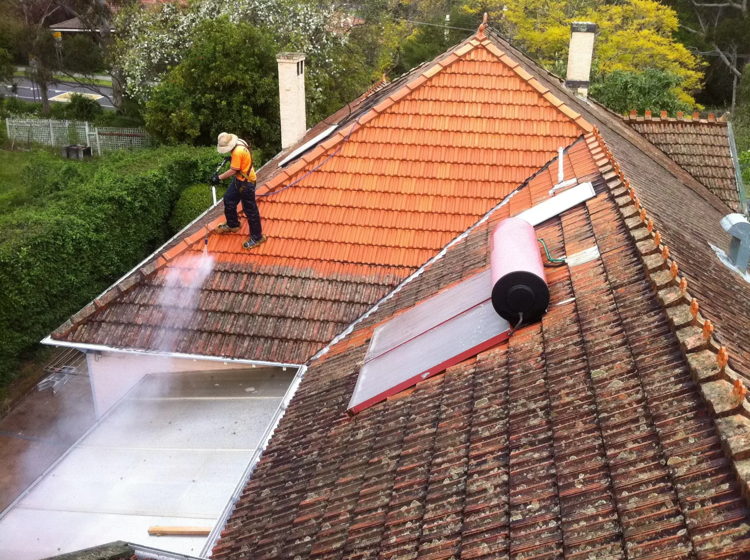 Mould Removal